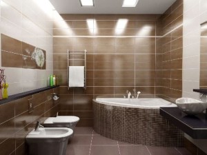 Плюсы и минусы совмещения ванной комнаты с санузлом