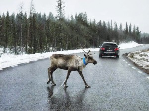 Путешествие в Финляндию на машине