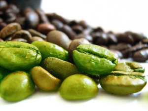 Зеленый кофе – новая панацея для худеющих?