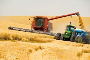 Сельскохозяйственный технологический прогресс