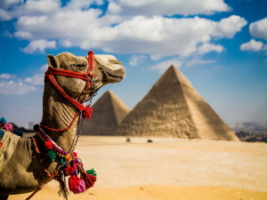 Советы туристам, отправляющимся в Египет