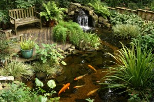 Удивительный и эстетичный сад на воде