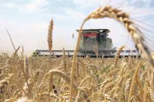 Безопасность современного фермерского хозяйства в Украине