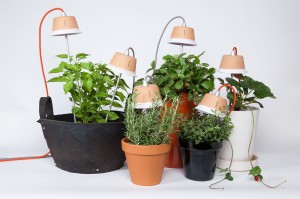 Освещение комнатных растений