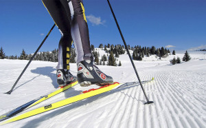 Какие выбрать беговые лыжи