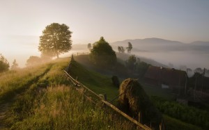 Как переехать деревню и начать деревенскую жизнь