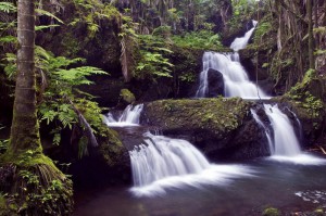 Отпуск в Абхазию, озеро Рица, Гегский (Черкесский) водопад