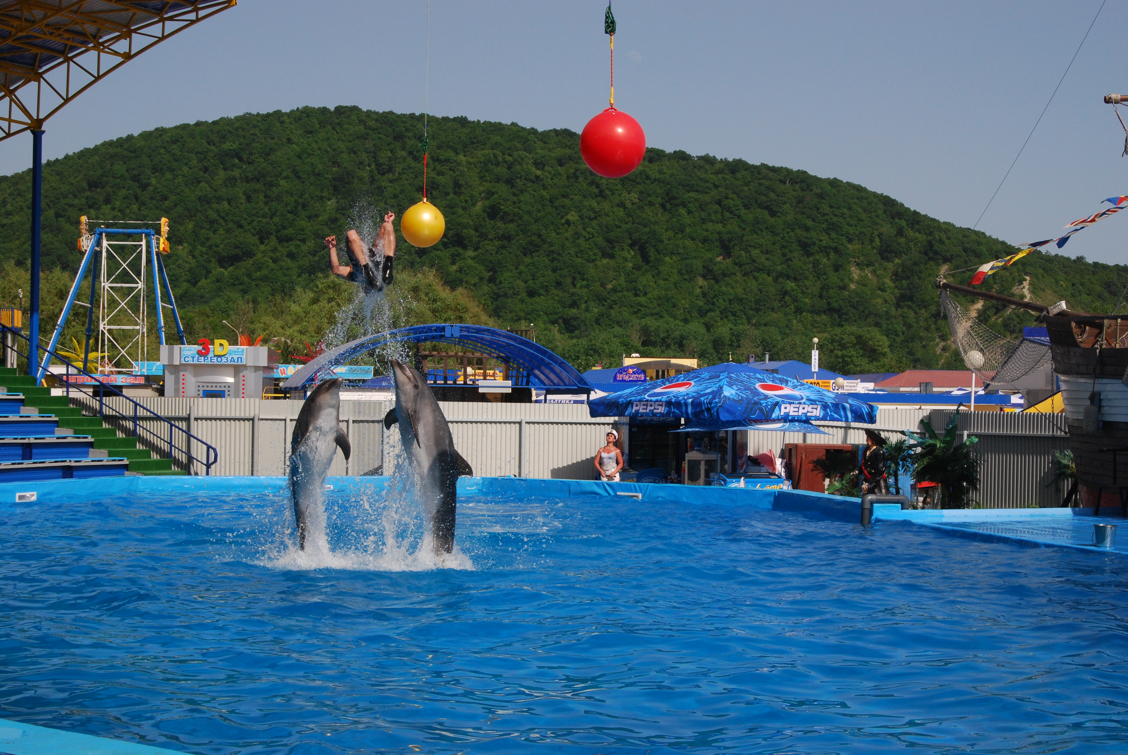 Курорт развлечений. Архипо-Осиповский дельфинарий. Дельфинарий Архипо-Осиповка. Архипо-Осиповка 2022.