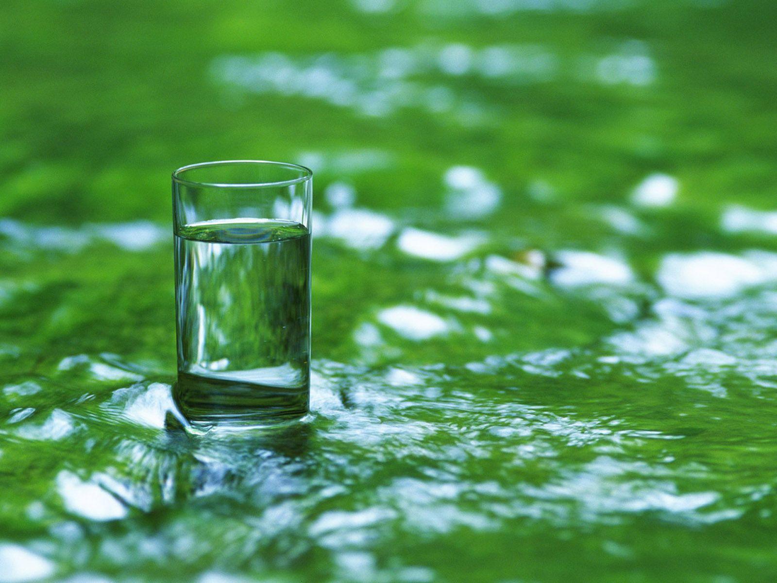 Стакан с зеленой водой. Чистая вода. Стакан воды на природе. Стакан воды.